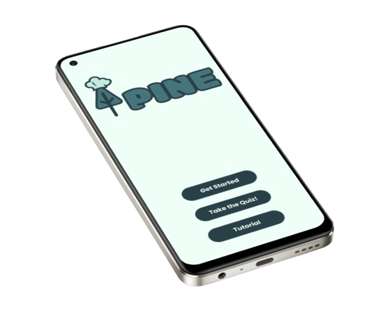 Pine Mockup